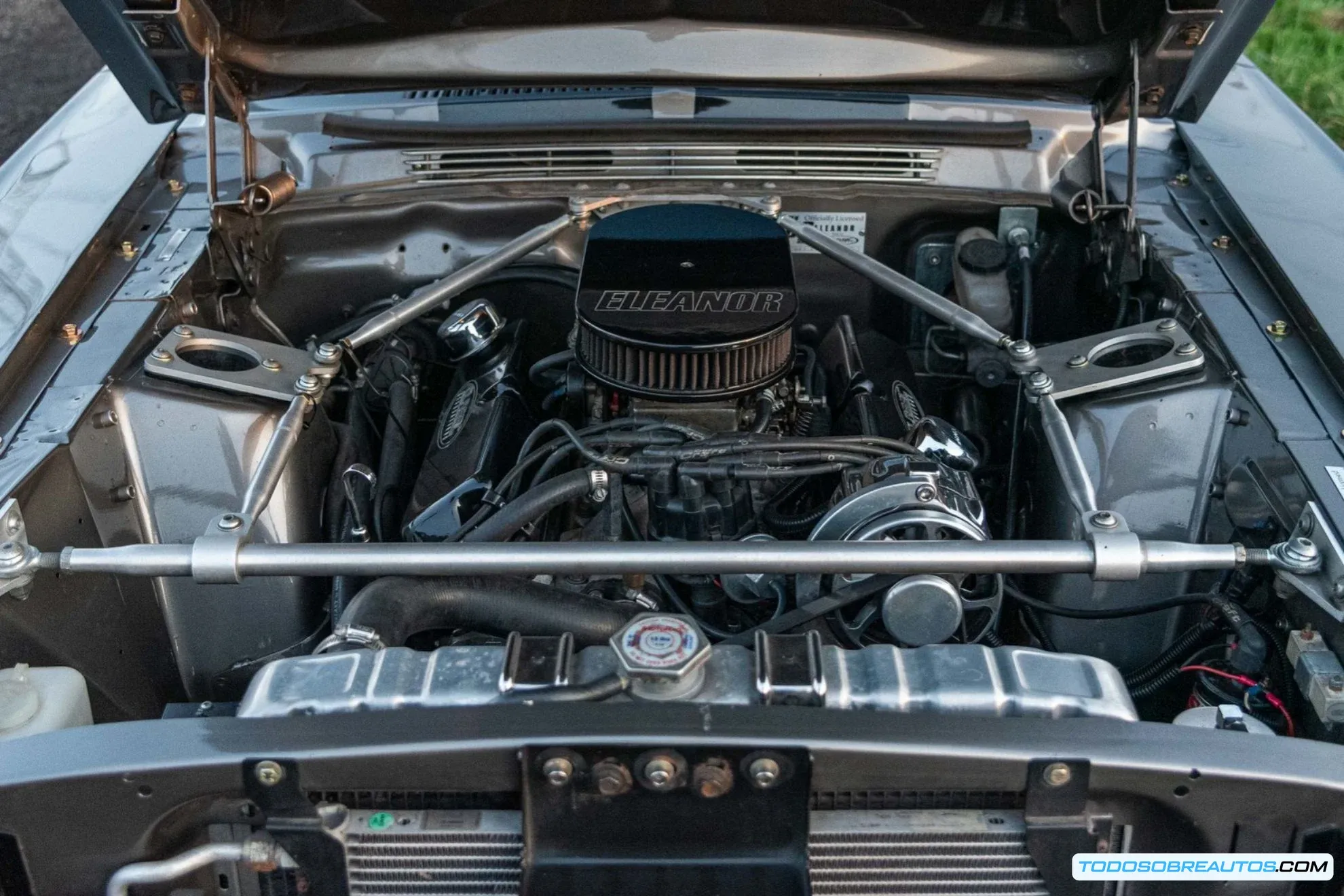 Imagen detallada del Shelby Mustang GT500