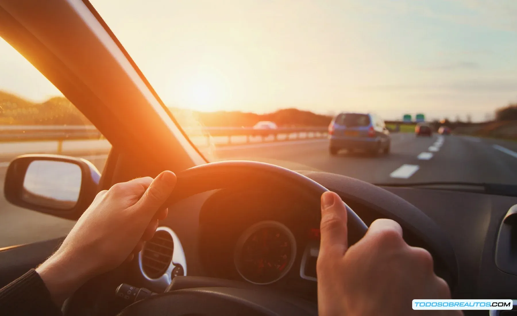 Conductor manejando un vehículo con un limitador de velocidad GPS en funcionamiento.