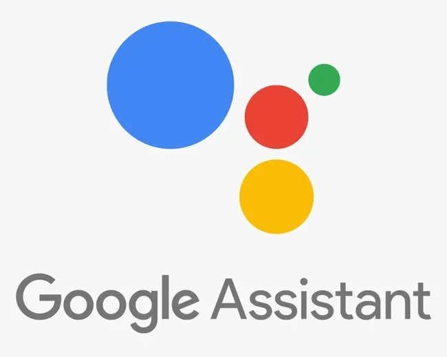 Google Integrado y Asistencias Avanzadas