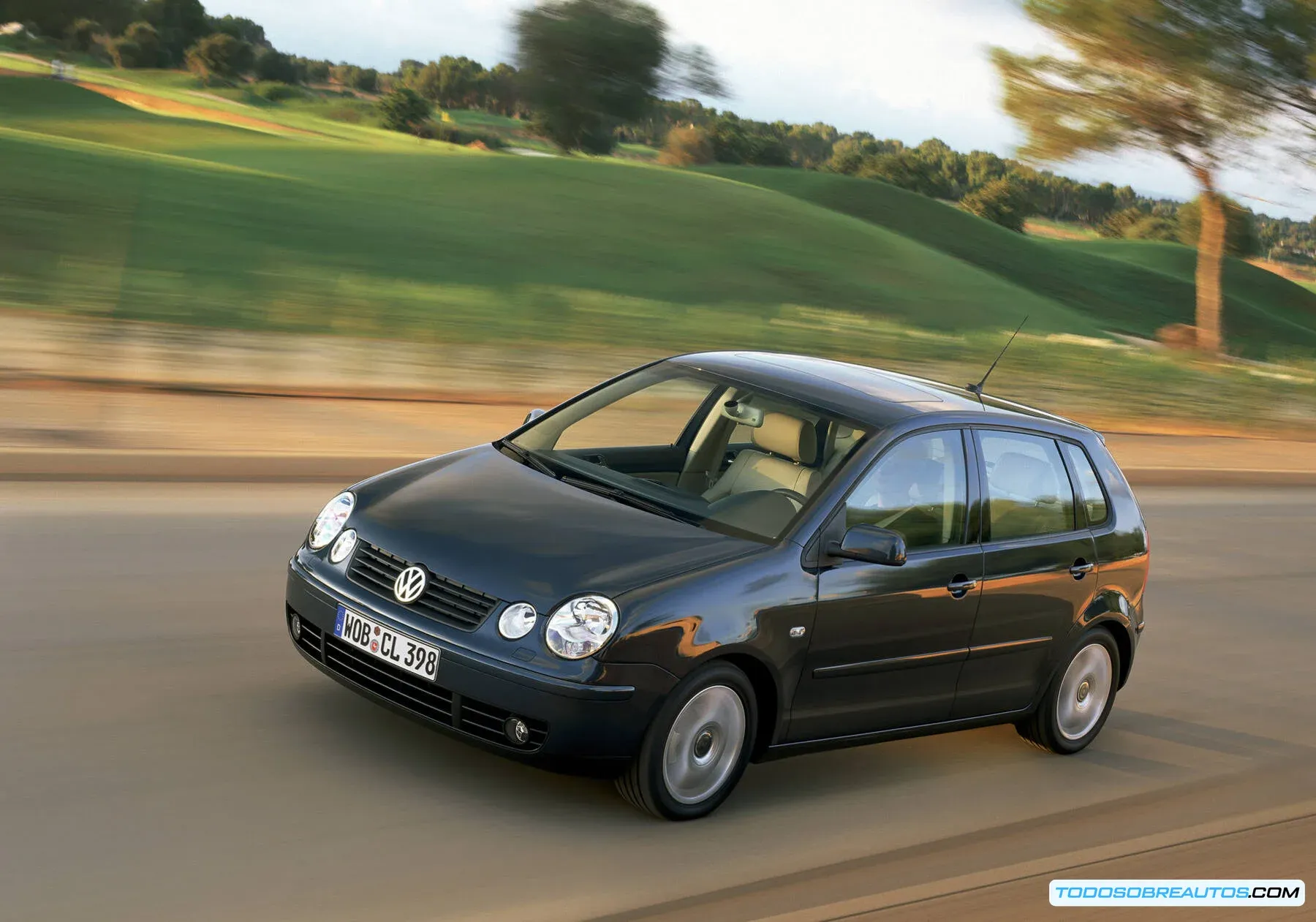 Volkswagen Polo Harlequin.