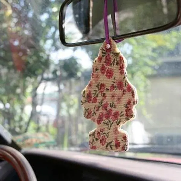Ambientador Casero para Coche