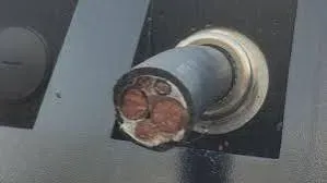 Robo de cables en cargadores de coches eléctricos