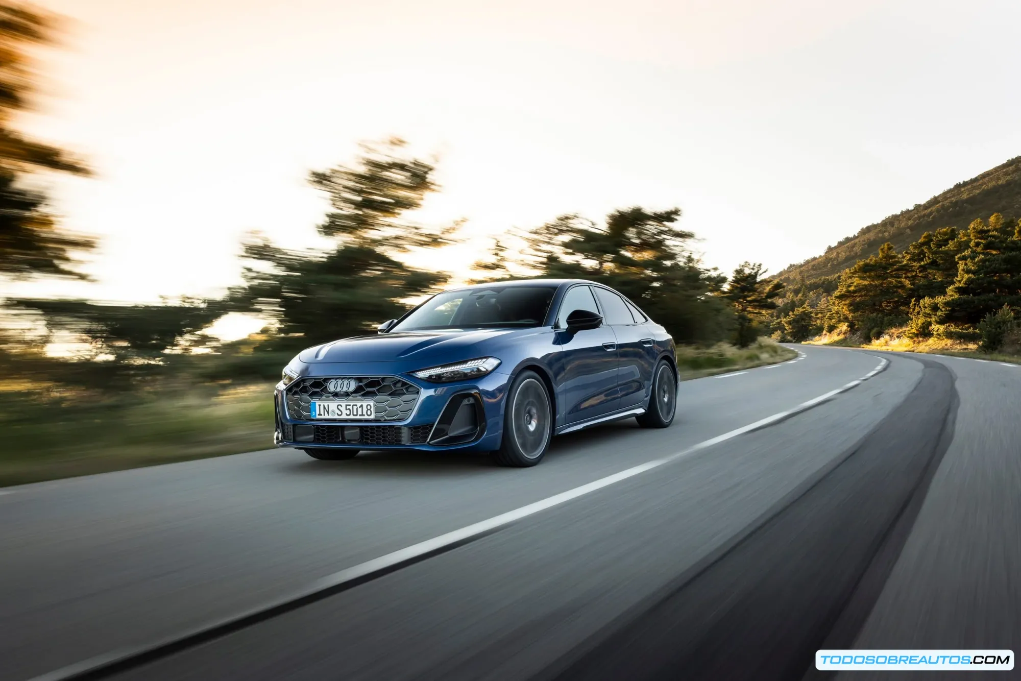 Audi S5 Avant estándar