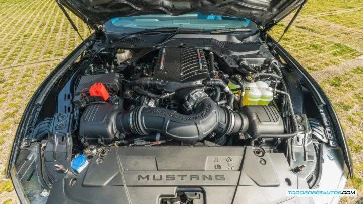 Detalle del motor V8 Coyote de 5.0 litros con supercargador Whipple.