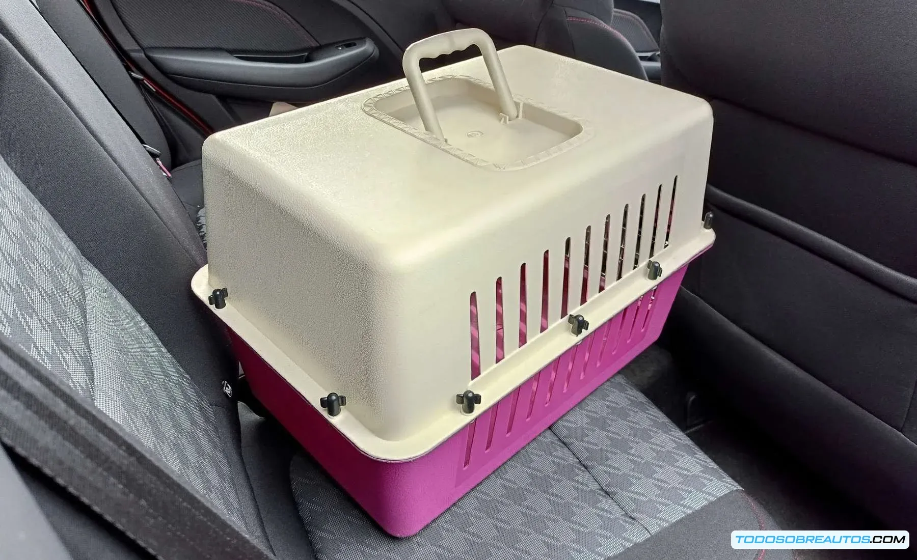 Imagen de un transportín de mascota correctamente sujeto en un coche, contrastando con el peligro de objetos sueltos.