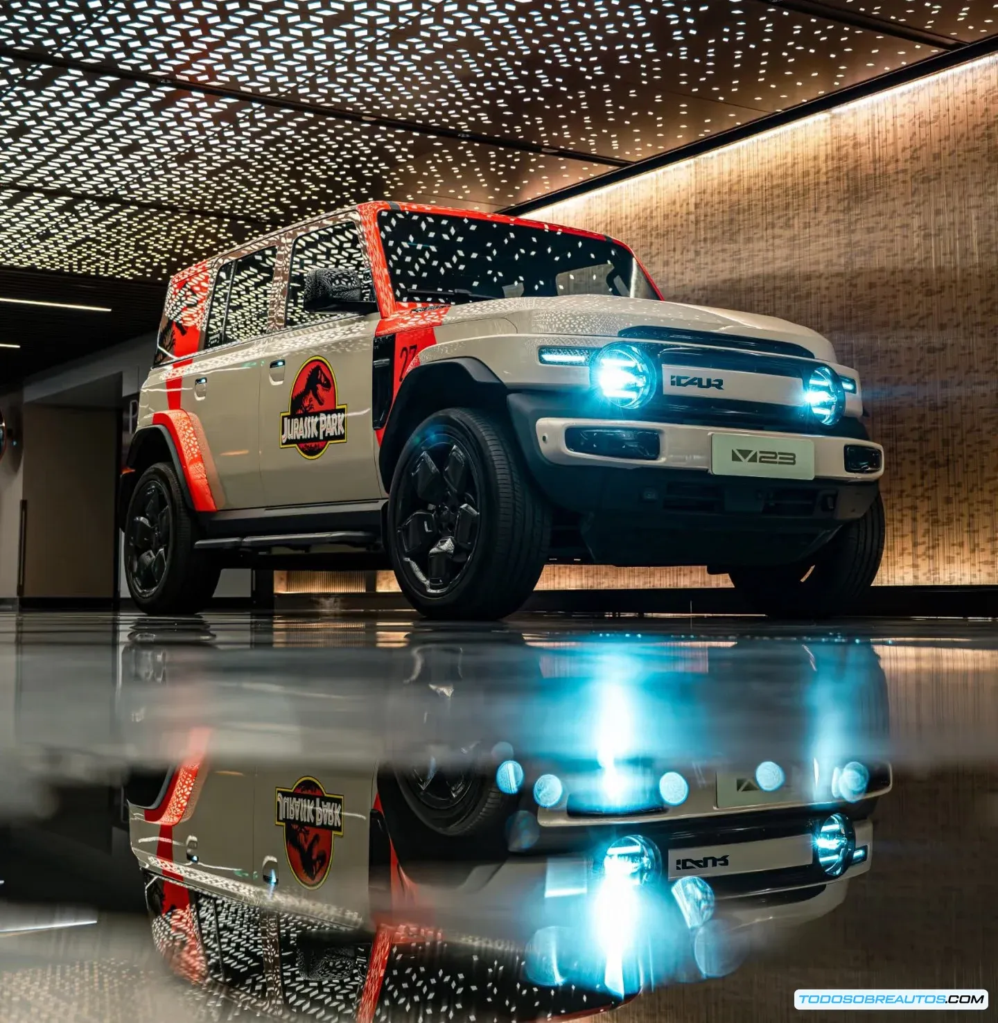 Varias opciones de personalización del iCAR V23.