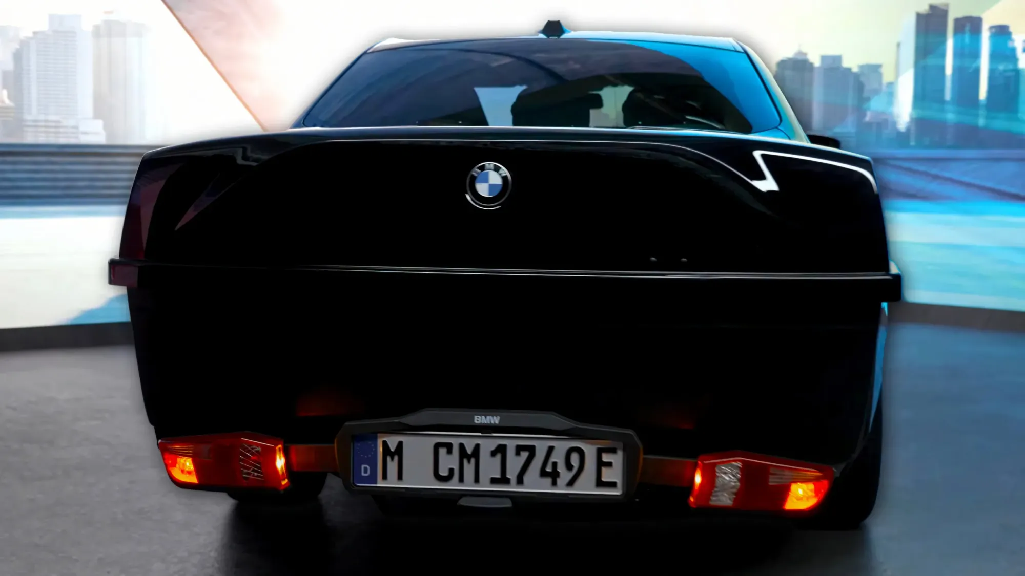 BMW Transport Box Parte Trasera