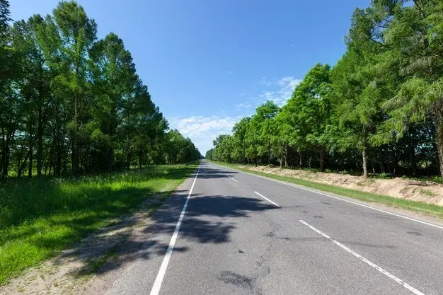 Deje que la carretera asfaltada con marcas viales blancas en el bosque