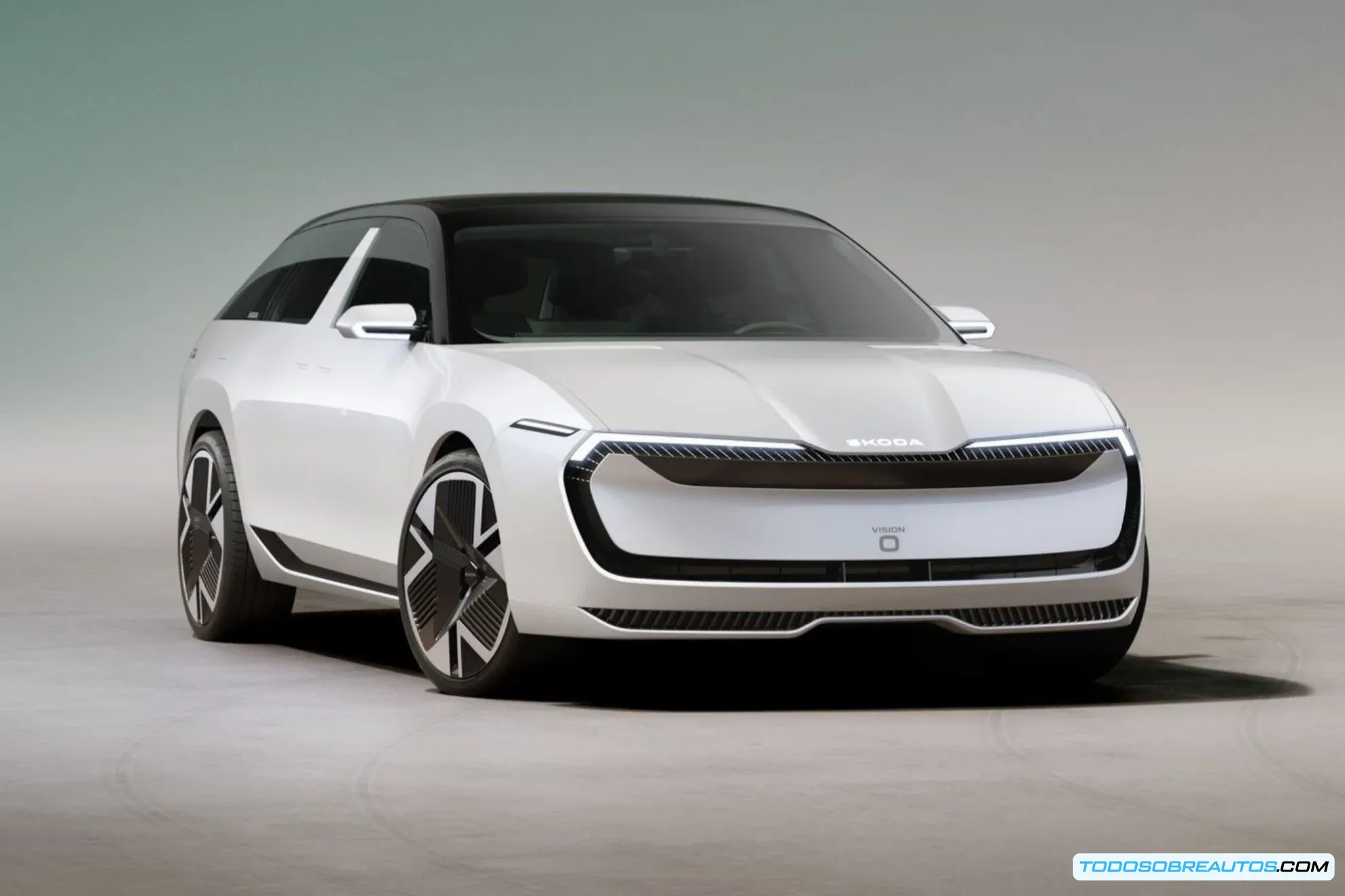 Skoda Vision O, vista trasera