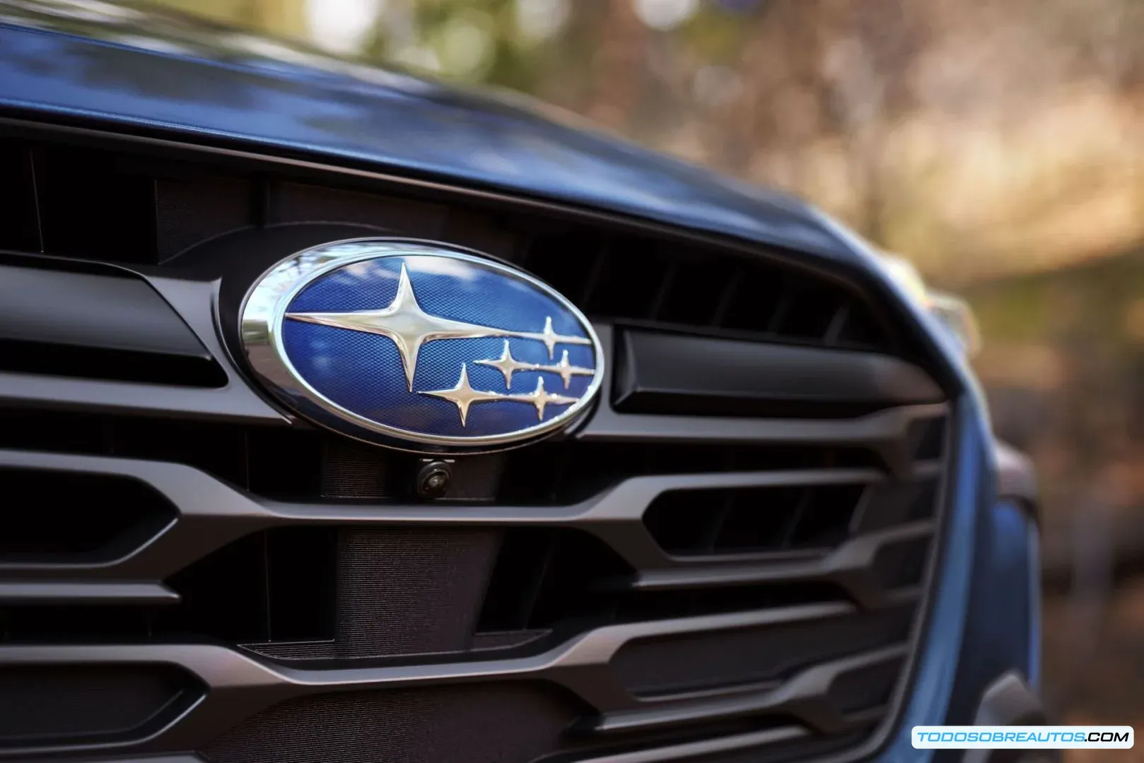 Imagen que muestra un vehículo Subaru o un gráfico que representa el éxito de la marca en el ACSI 2025.