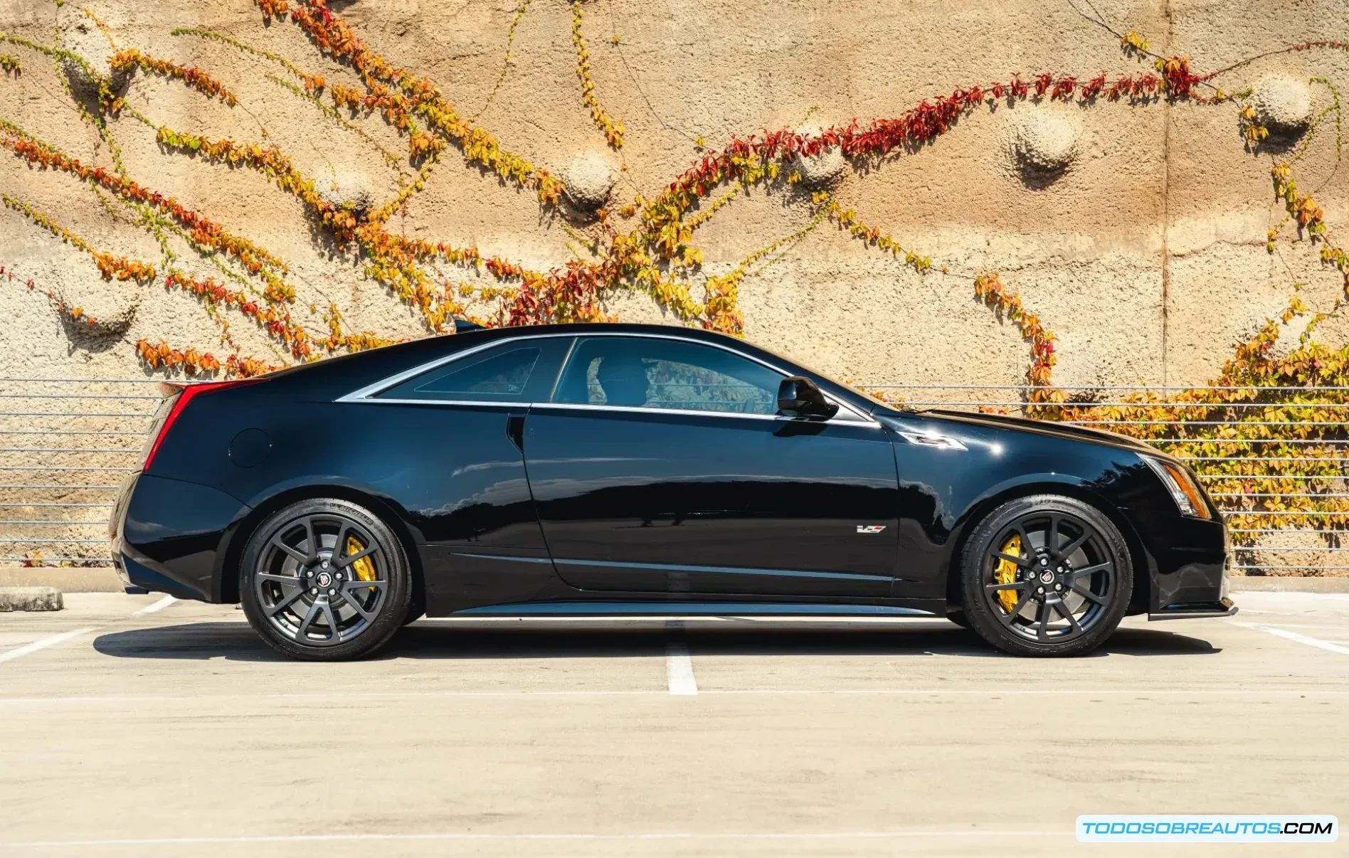 Detalle del frontal del Cadillac CTS-V Coupe 2014.