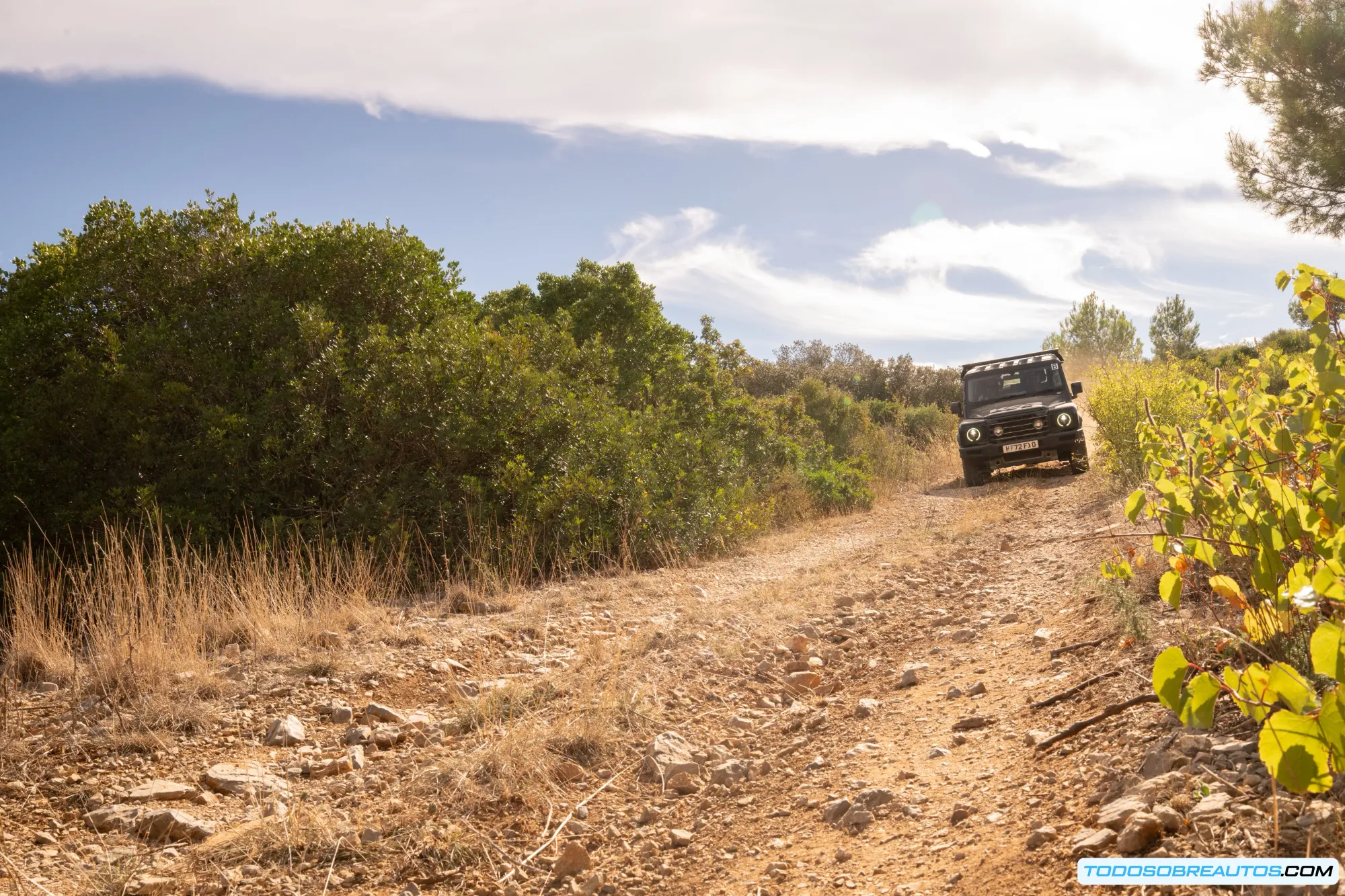 Sebastien Loeb probando los neumáticos BFGoodrich KO3
