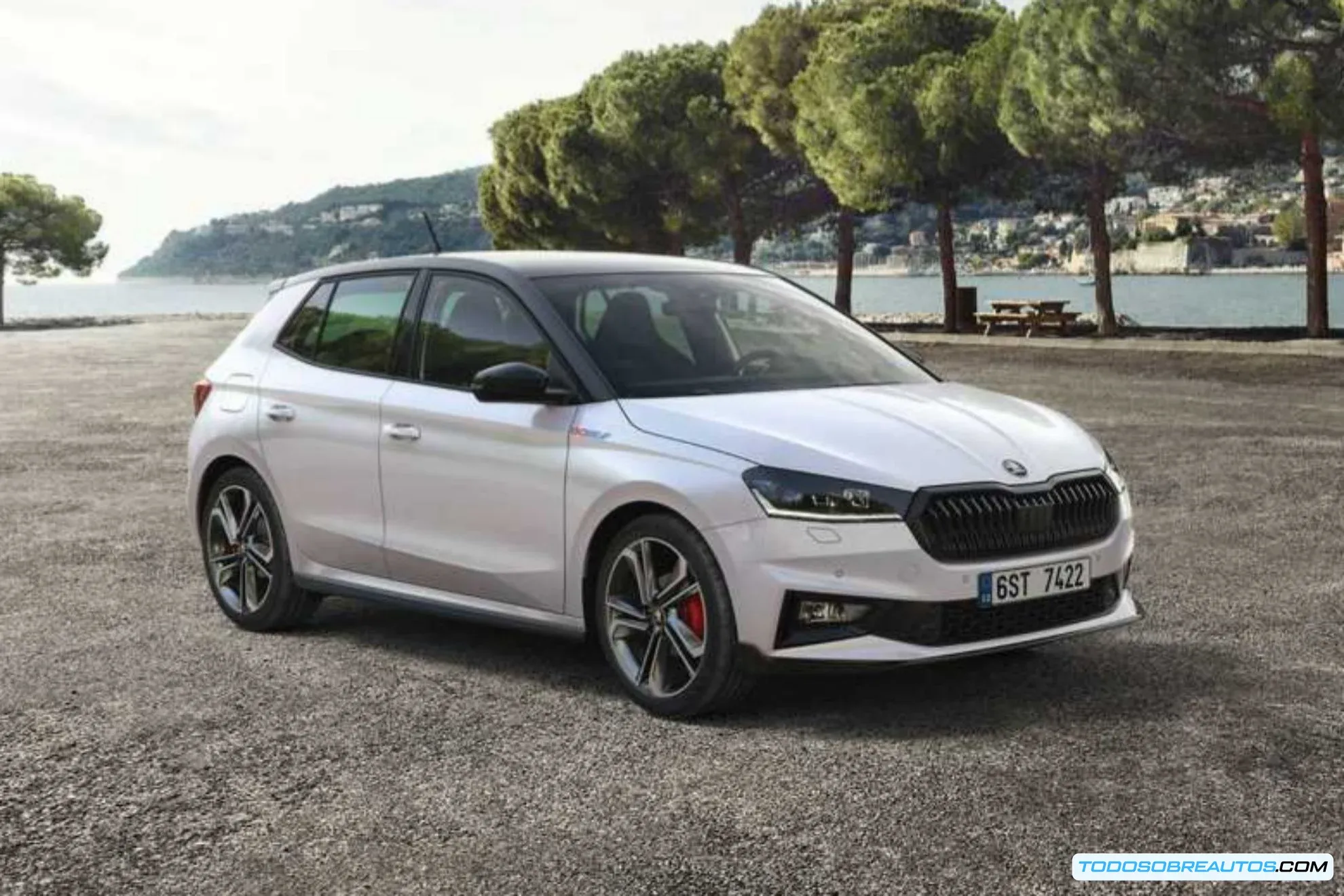 Skoda Fabia de rally.