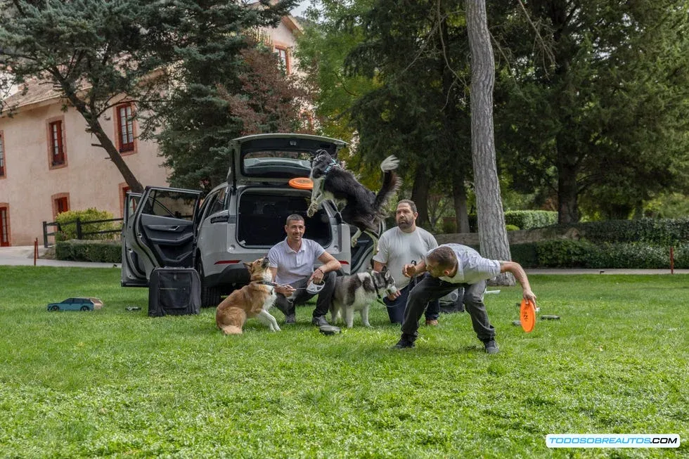 Interior del Jaecoo 5 adaptado para transportar mascotas.