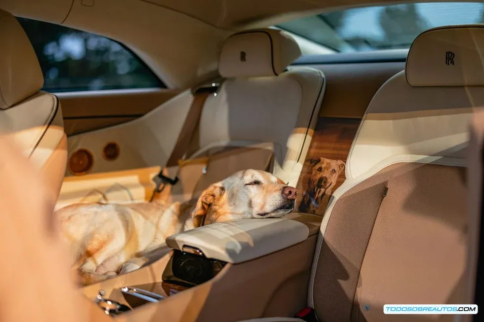 Interior del Rolls-Royce Spectre Bailey