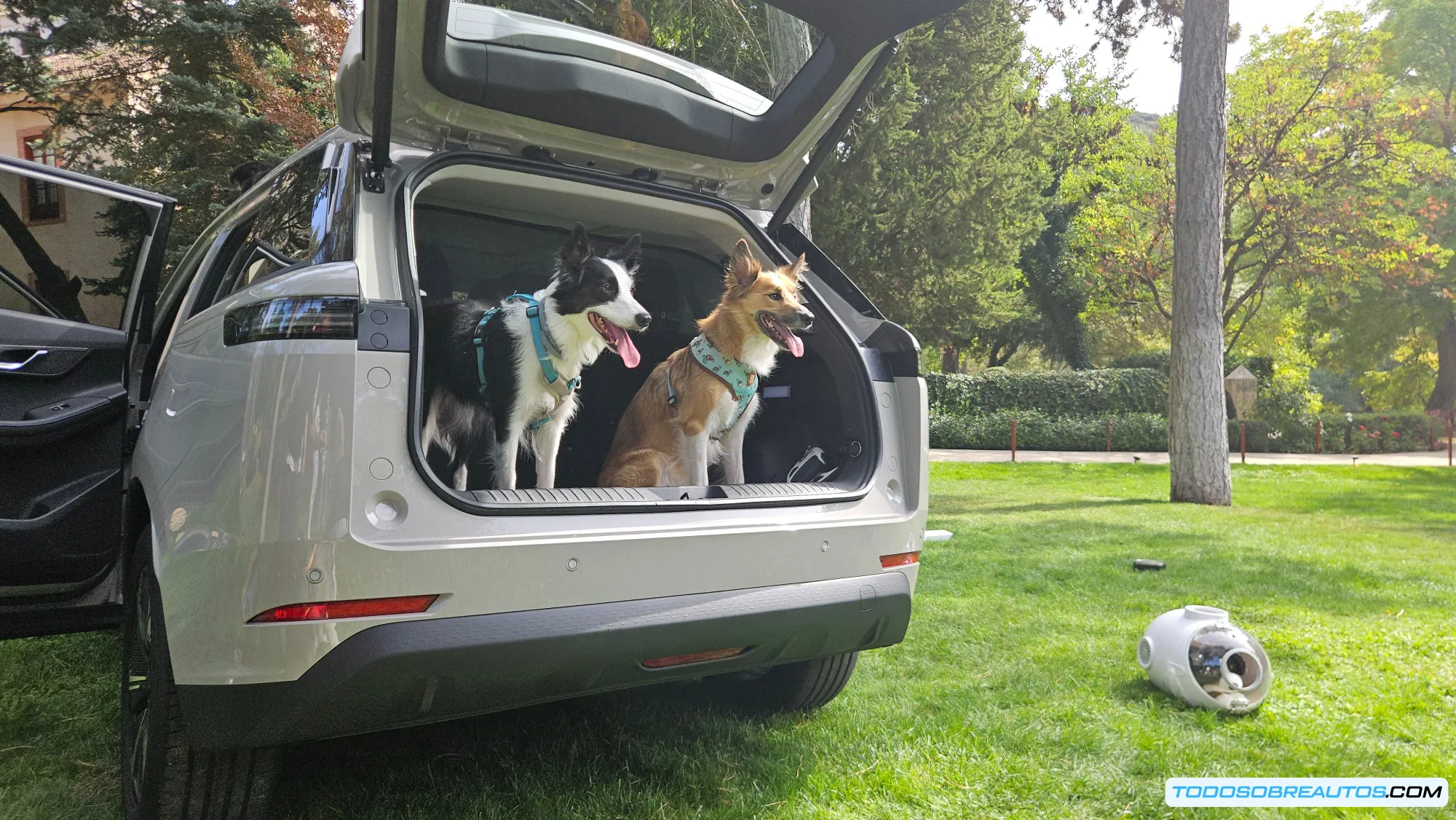 Un perro relajado y cómodo en el asiento trasero del Jaecoo 5.
