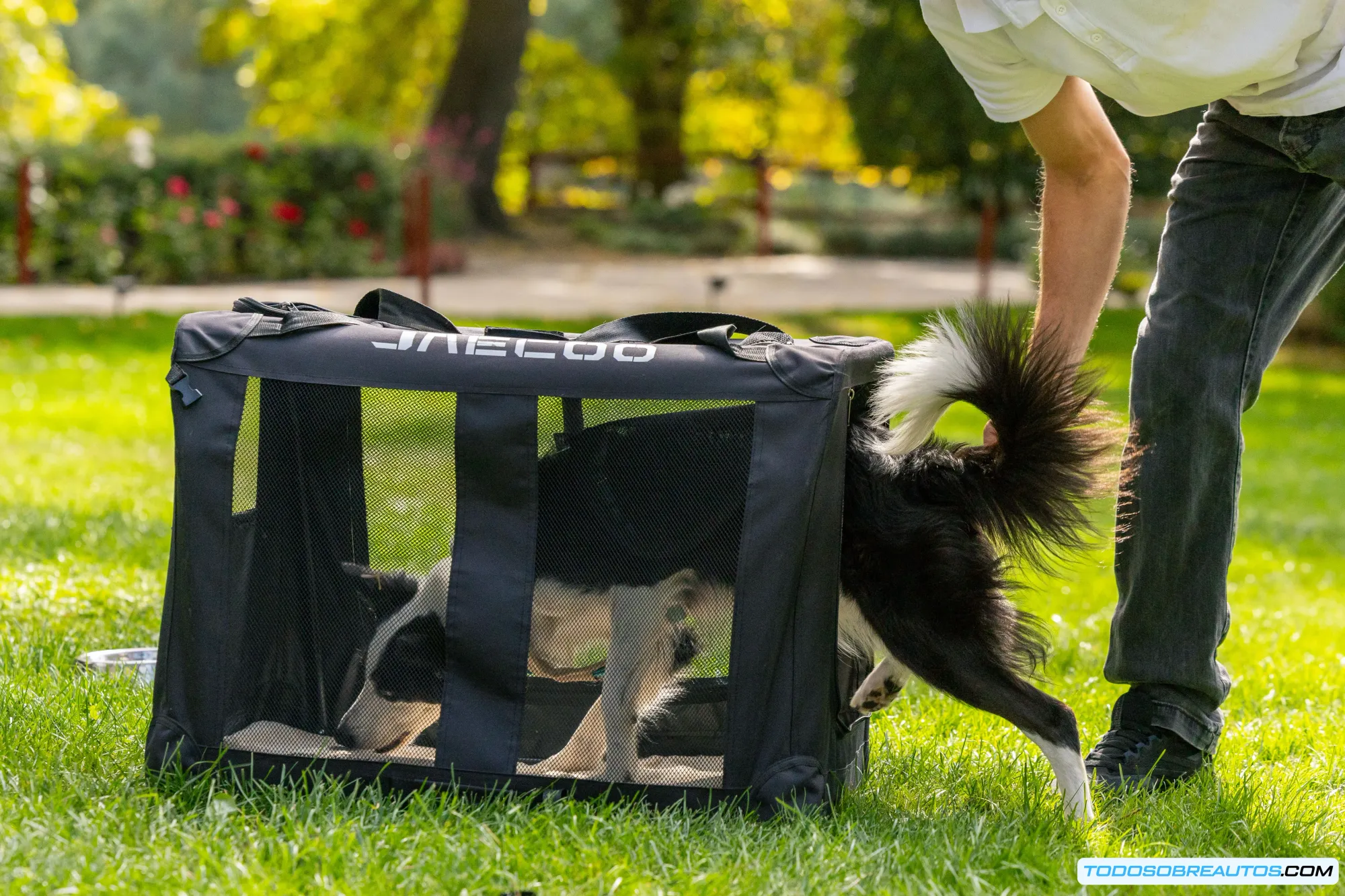 Detalle de la tapicería resistente del Jaecoo 5.