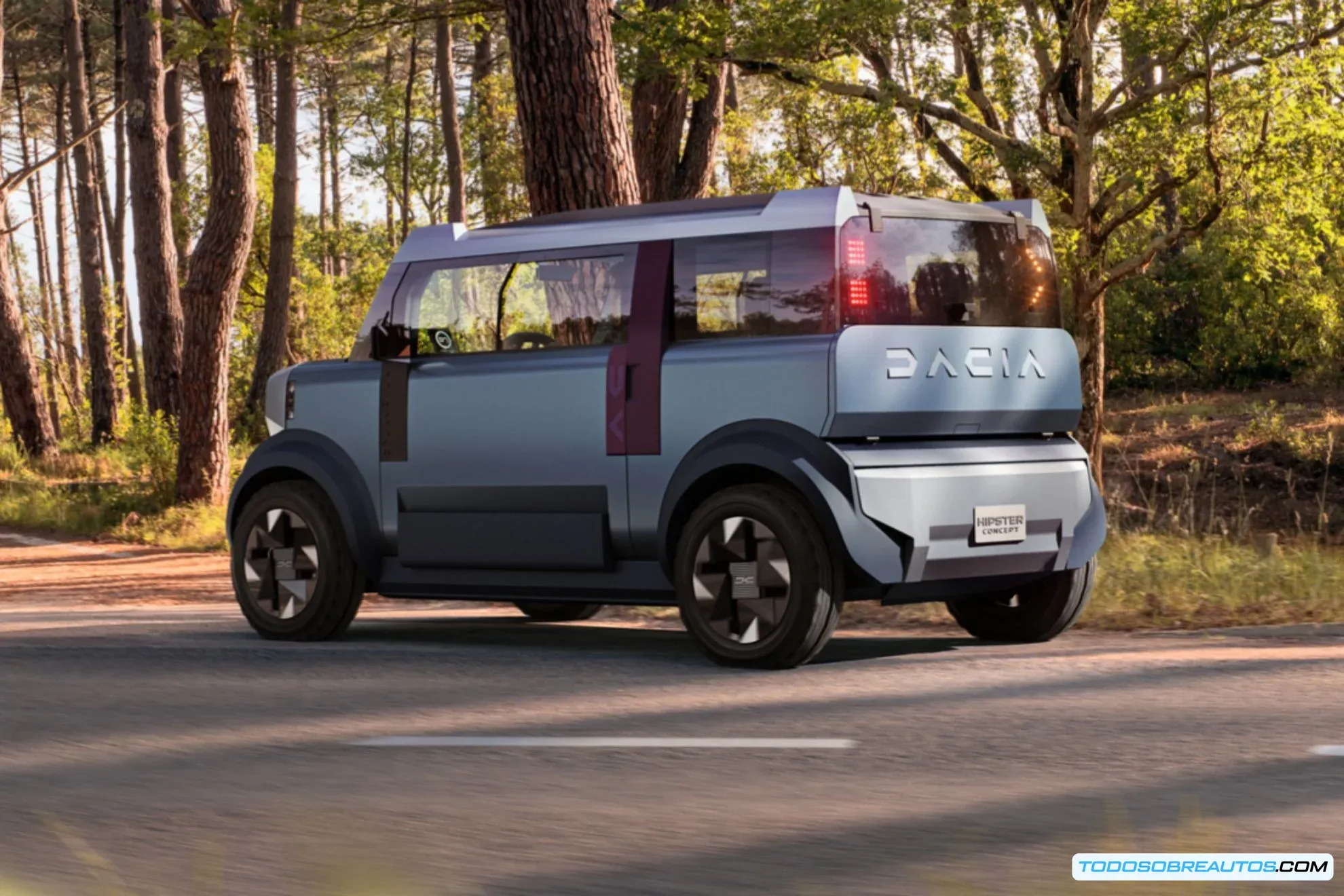 Dacia Hipster Concept detalle del lateral