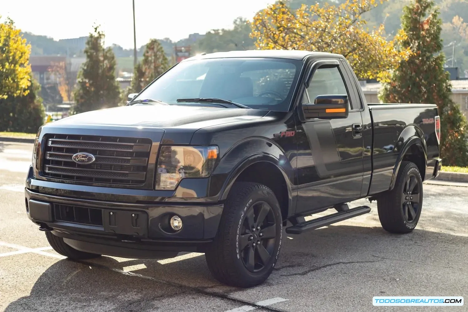 Ford F-150 Tremor 2014 mostrando detalles de diseño