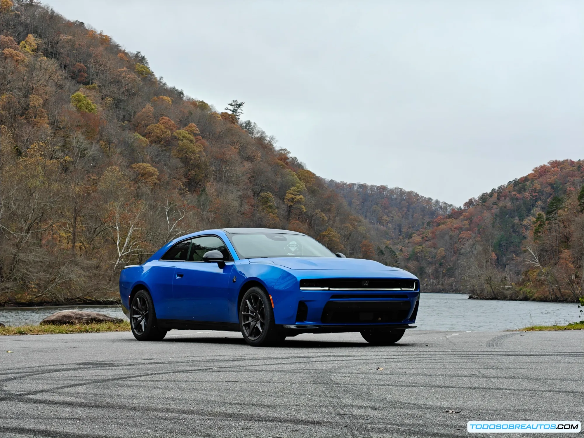 Shelby Cobra 289 de 1964