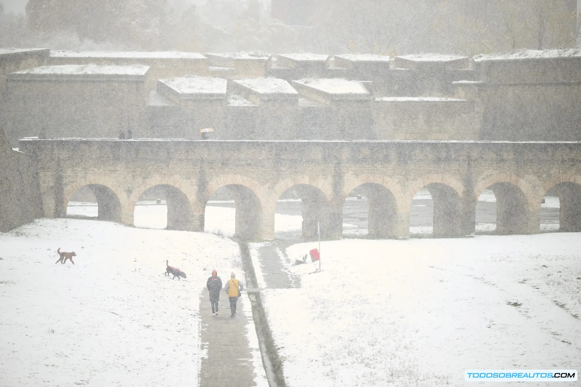 Detalle del interior austero y funcional del Ferrari F40.