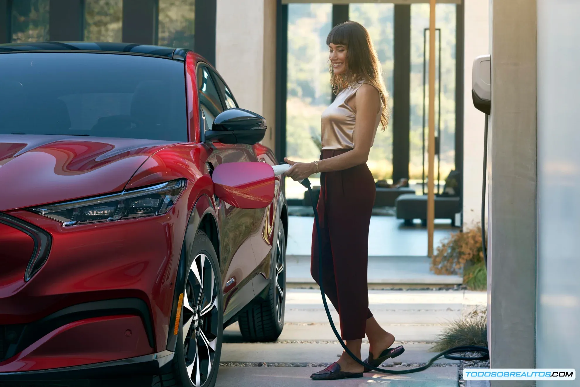 Gráfico o ilustración comparando los costos de impuestos para coches eléctricos antes y después de la reforma.