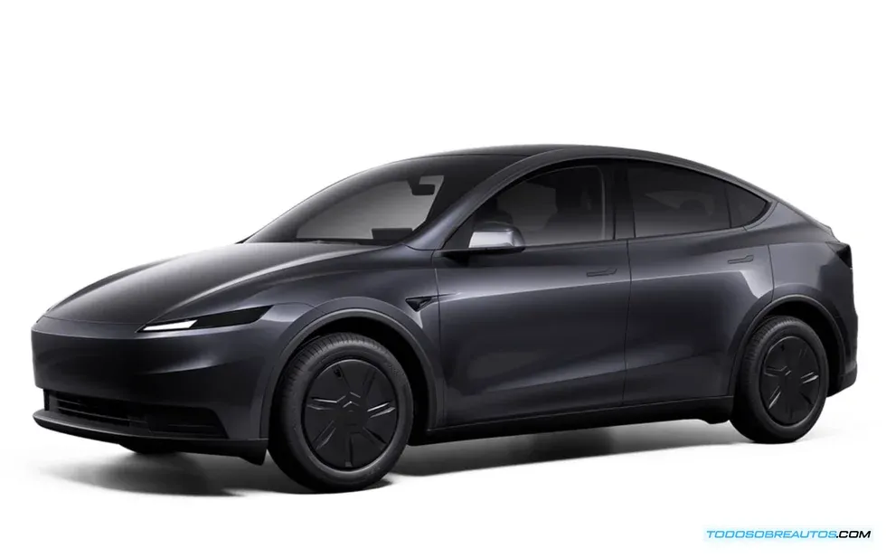 Tesla Model Y Standard
