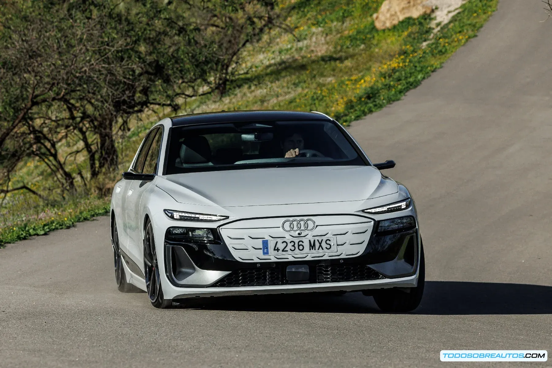 Audi A6 Avant e-tron, modelo que experimentó un crecimiento del 150% en ventas según el análisis de noviembre 2025