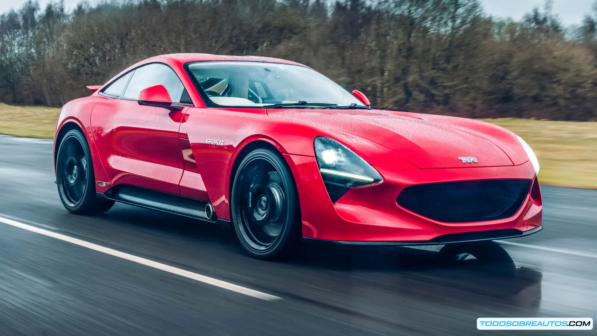 Detalle del diseño del TVR Griffith