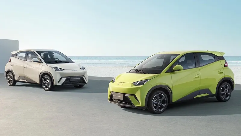 Dolphin Mini eléctrico