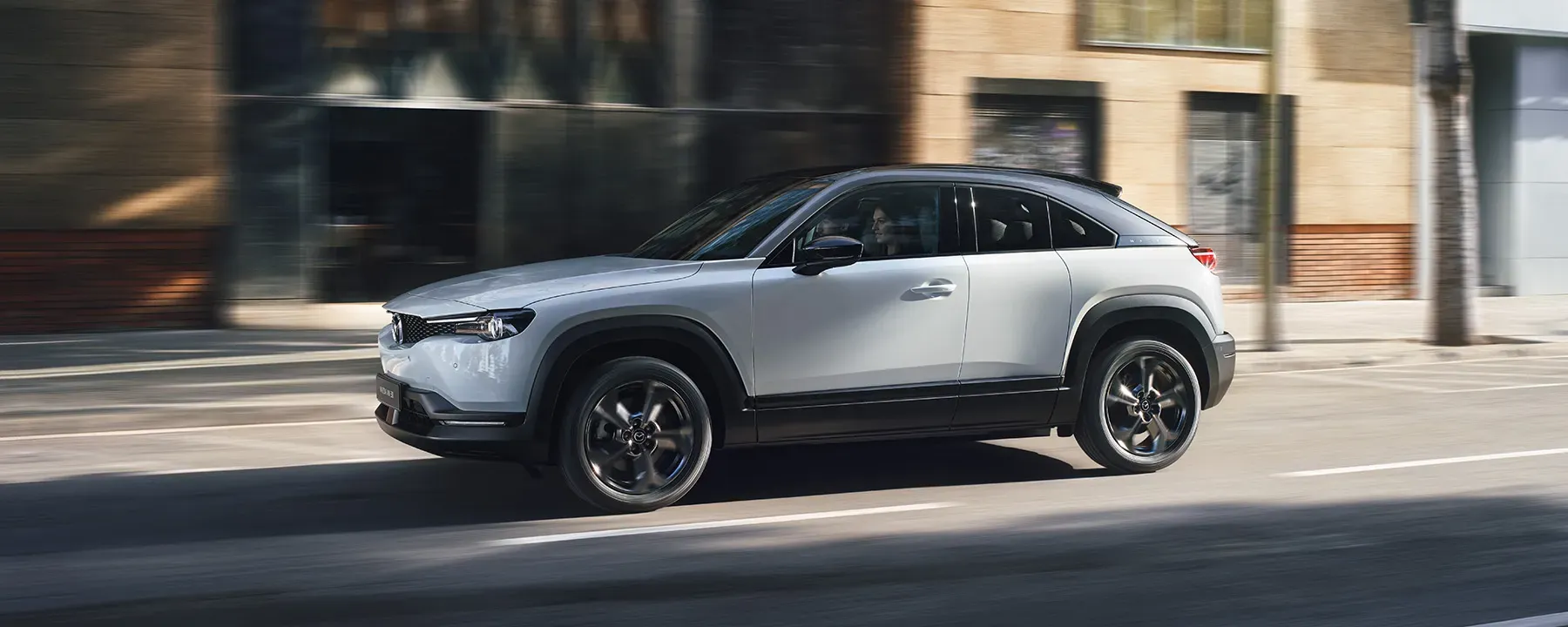 vehículos eléctricos de batería (BEV) 