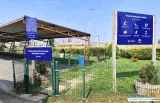 Carga EV Dog-Friendly