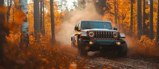 Off-Road 