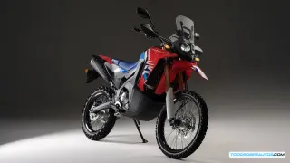 Honda CRF300 Rally 2025