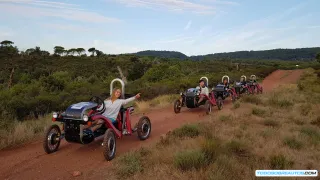 Swincar e-Spider