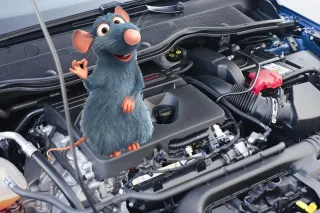 Roedores en tu Coche Prevención y Soluciones