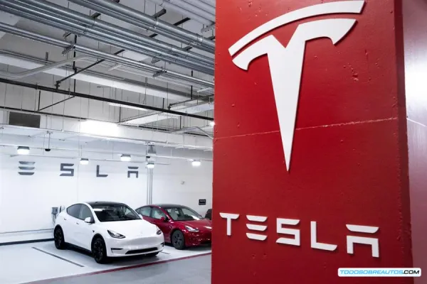 Caída del 26% en el valor de la marca Tesla: ¿El impacto de Elon Musk y la edad de sus vehículos?