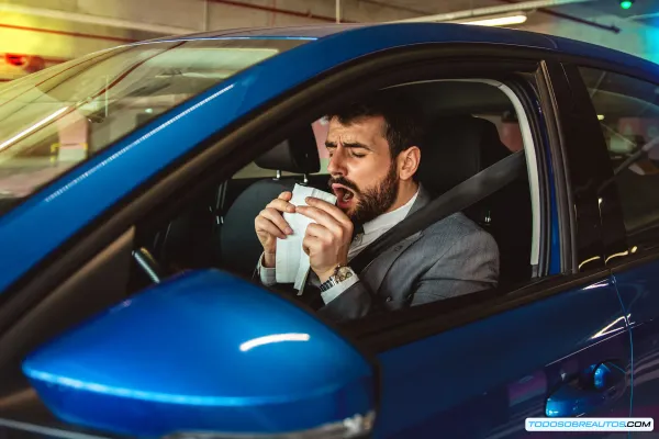 Alergias al Volante: Guía Definitiva para un Viaje Saludable y Seguro en tu Auto