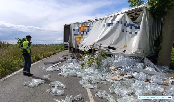 Accidente de Camión en Navarra: Impacto en el Tráfico y Sorprendente Edad de la Conductora - Noticias de Seguridad Vial