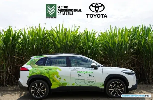 Corolla Cross Hybrid Flex: ¿La Clave Sostenible de Toyota para Colombia?