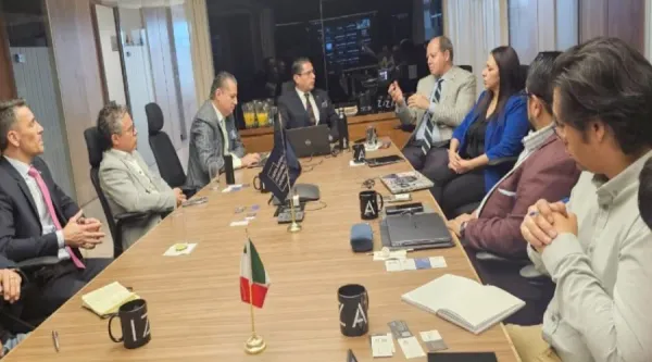 ANAPSA Lanza Plan para Fortalecer Proveedores Automotrices en México: Claves del Programa