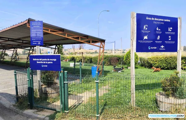 Estaciones de Carga EV Dog-Friendly: ¿El Futuro de los Viajes con Mascotas?