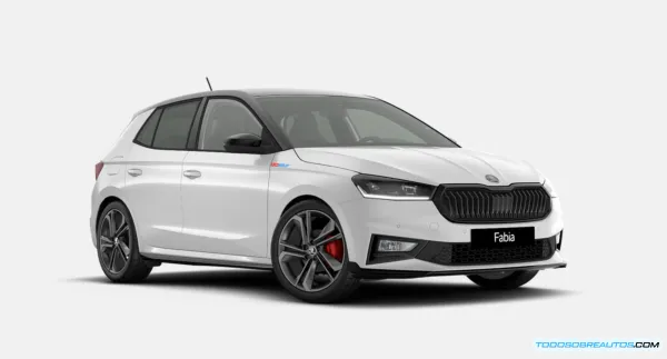 🚗 El Dilema del Deportivo Compacto de Gasolina: Skoda Fabia 130 vs VW Polo GTI
