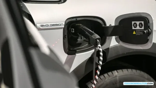 BYD lanza carga compartida en México: cómo funciona y qué ventajas ofrece